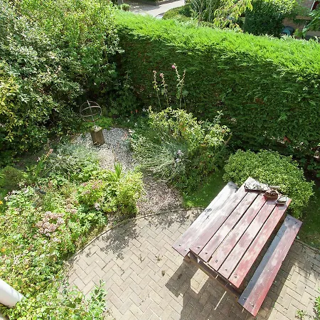 Summer Garden