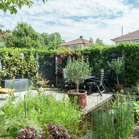 Summer Garden *